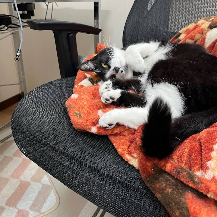 1a28e026 995a 4ffe a183 a96155d7a02a 1712206447804