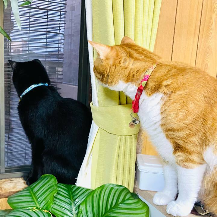 1a2911c2 fed4 4962 880a 5a4d40f4e2d2 1760444198851