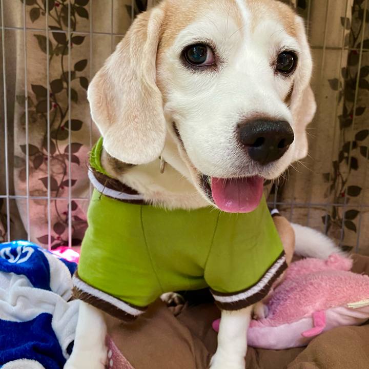 1a291d8f e19a 4d13 83b2 3a284c119047 1633664234962