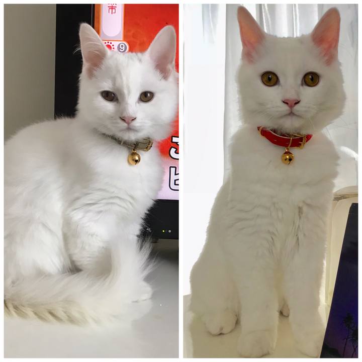 1a292e61 a376 4c1a b254 97c543feb0df 1556622267380