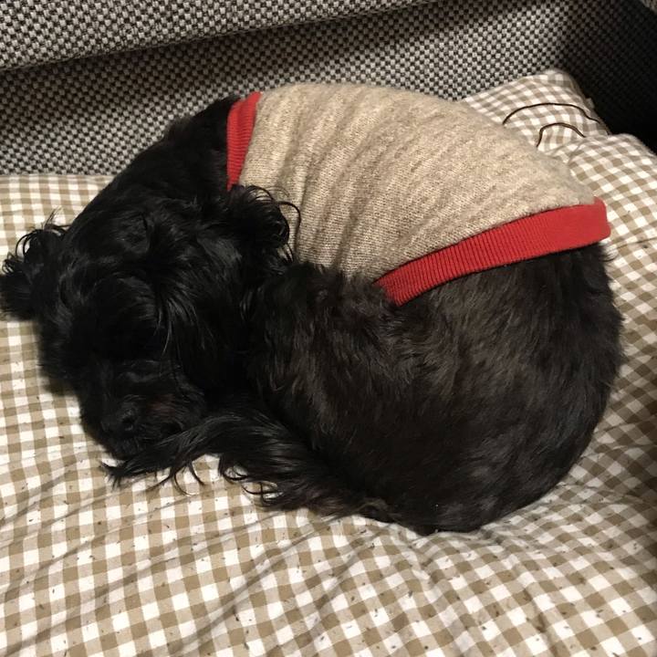 1a295d76 3bce 4cdf 9429 bc1dc4190550 1547907441012