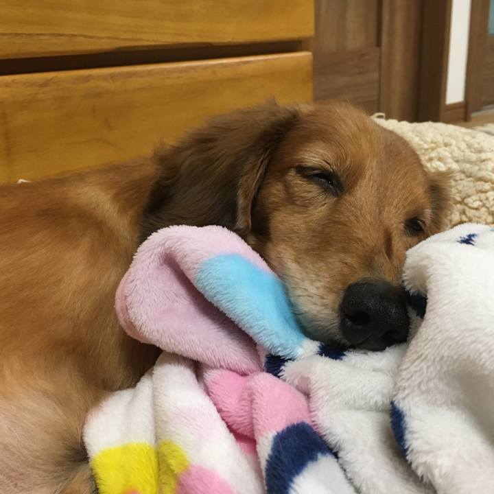 1a29c4e7 b9c0 472e 8e54 0b0d6c0434c5 1579156170796