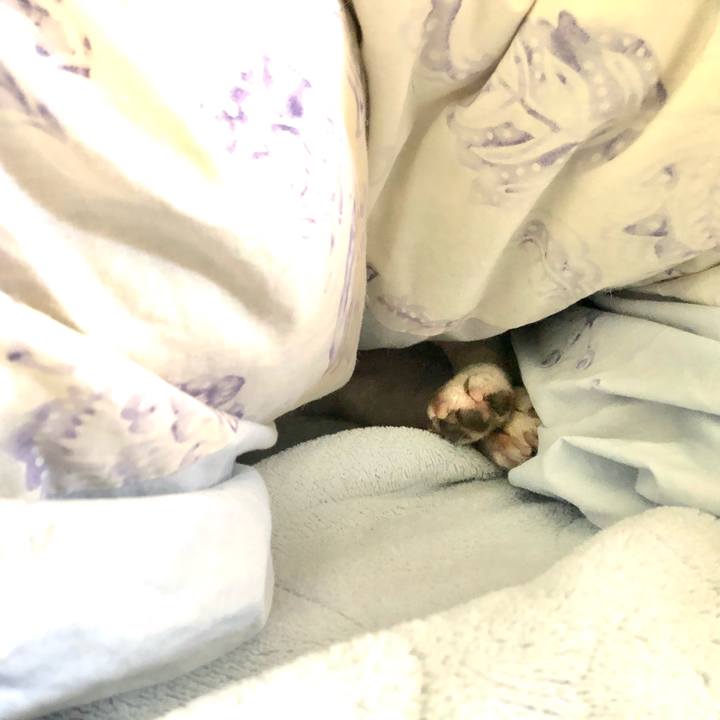 1a29eab7 582e 42cb 9ecb c79a25a7cb1c 1665630594674