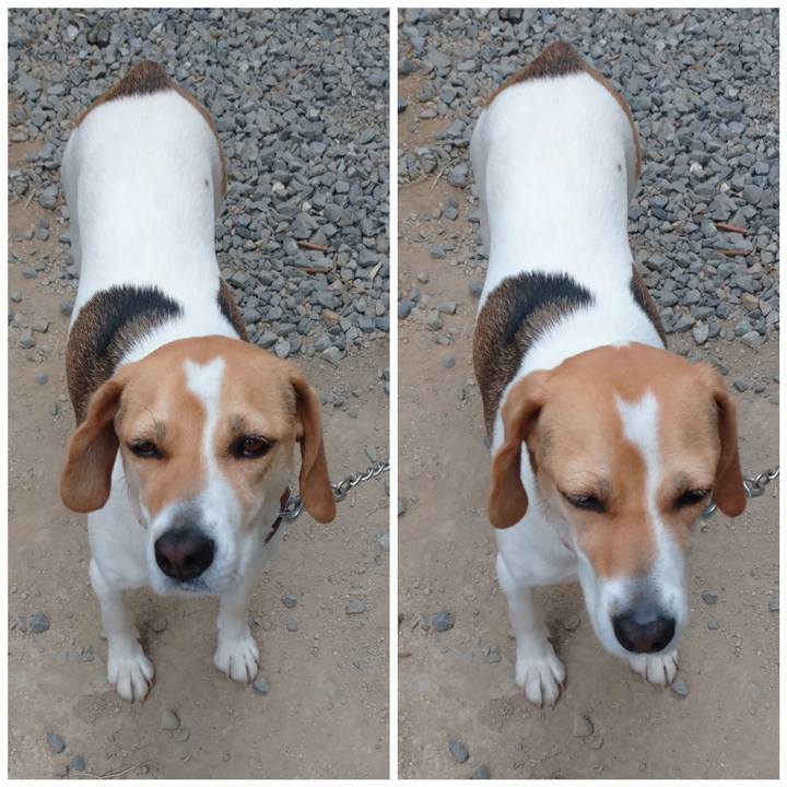 1a2a07ae 178c 46ba 86ec 13e852bb332a 1590378169053