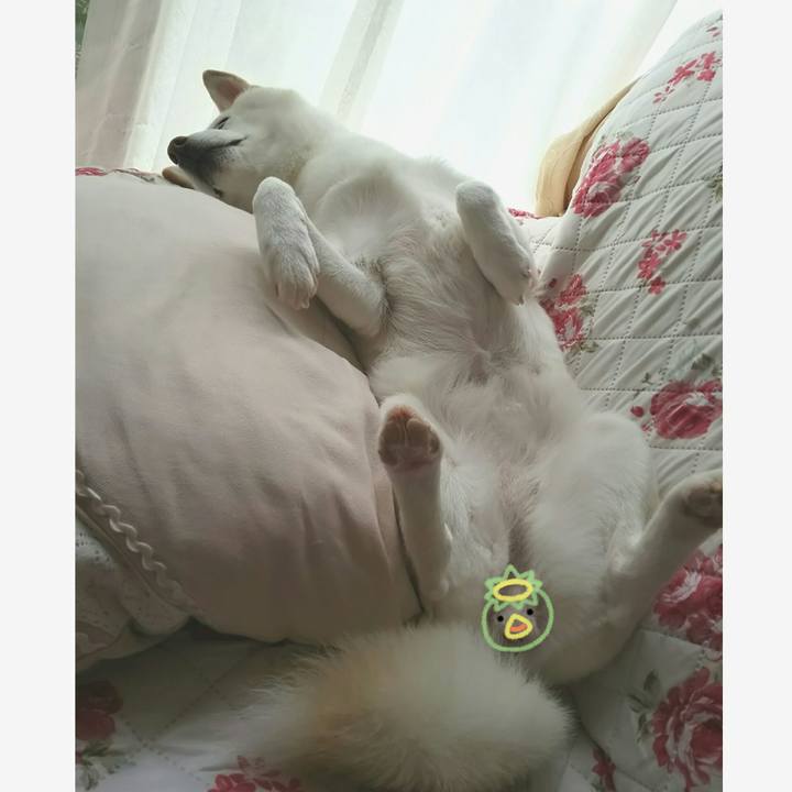 1a2a28c3 938d 42c6 85fc c2d534e5867f 1623643852710