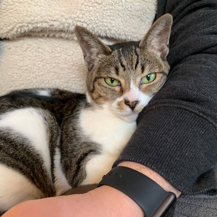 1a2a6ab8 c66d 4c18 b731 0ffed614ec93 1545954635679