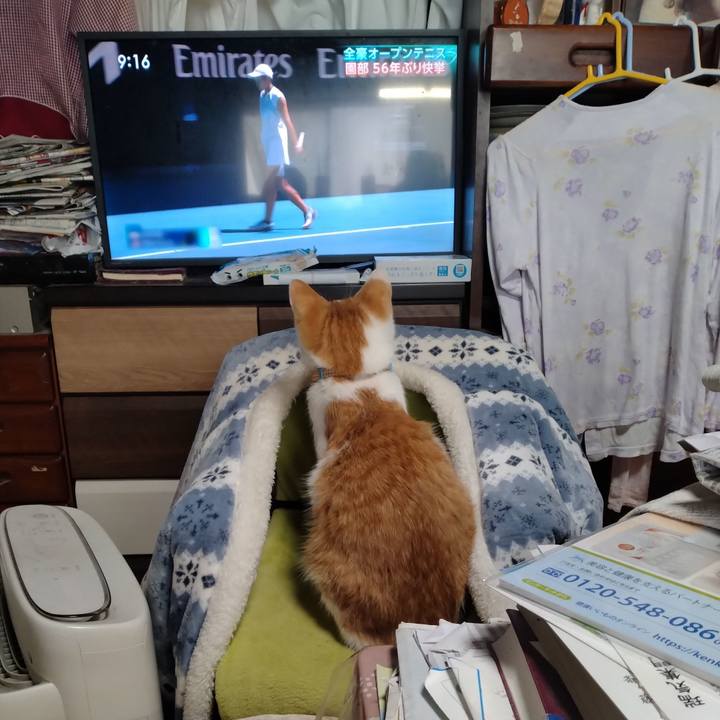 1a2a9002 fff5 4d1e b67c d9427facf4d7 1737854288787