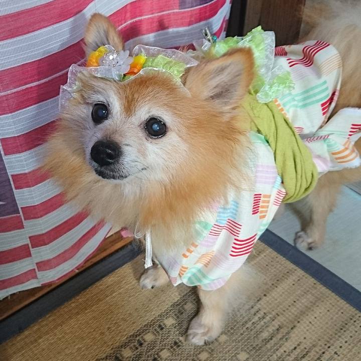 1a2aa772 15cc 4606 a8dd aa33417746cc 1565950192045