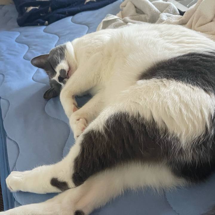 1a2af06a 2fbd 4906 aa09 0f00d5d133bc 1659085902609