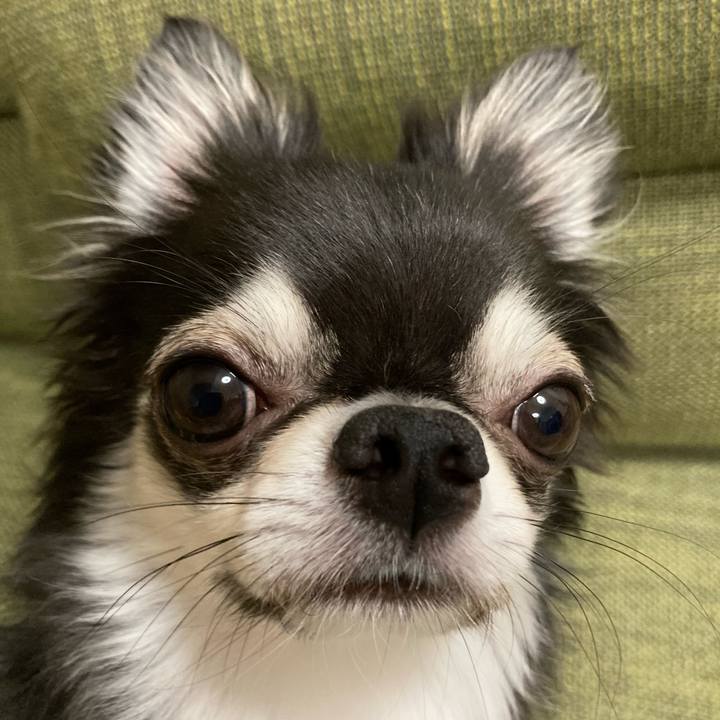 1a2b2255 9a1d 4fc7 a68b 712c3ed19ef5 1661696941258