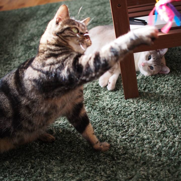 1a2b3fdb 9c5a 47ff 8d1e aaa0335fd054 1545463116649