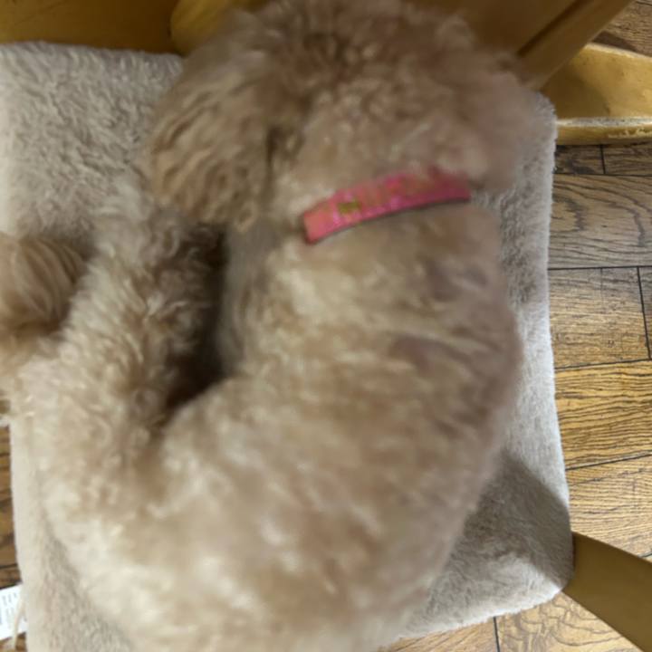 1a2b4856 d615 4d7d a93d 503c747a59f2 1749659920494