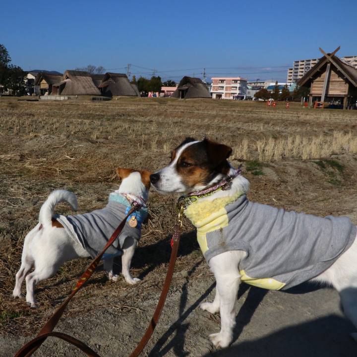 1a2b6a6d cf6b 4fce a8ef e2e2c05900a2 1548205977485