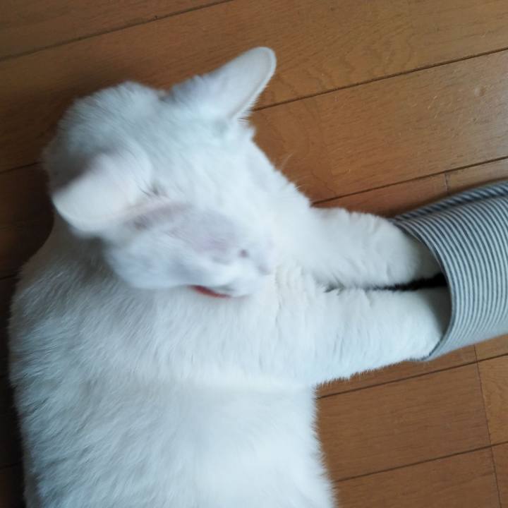 1a2bb2ce ff79 4336 9287 7a56f6908172 1606351806759