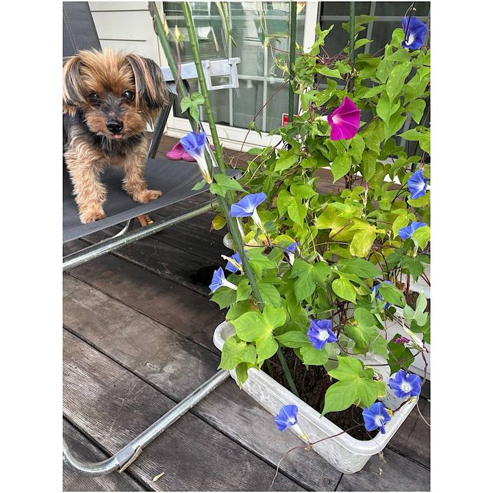 1a2bb62c 5ccd 4a7d becd bb13314f619f 1755990049453