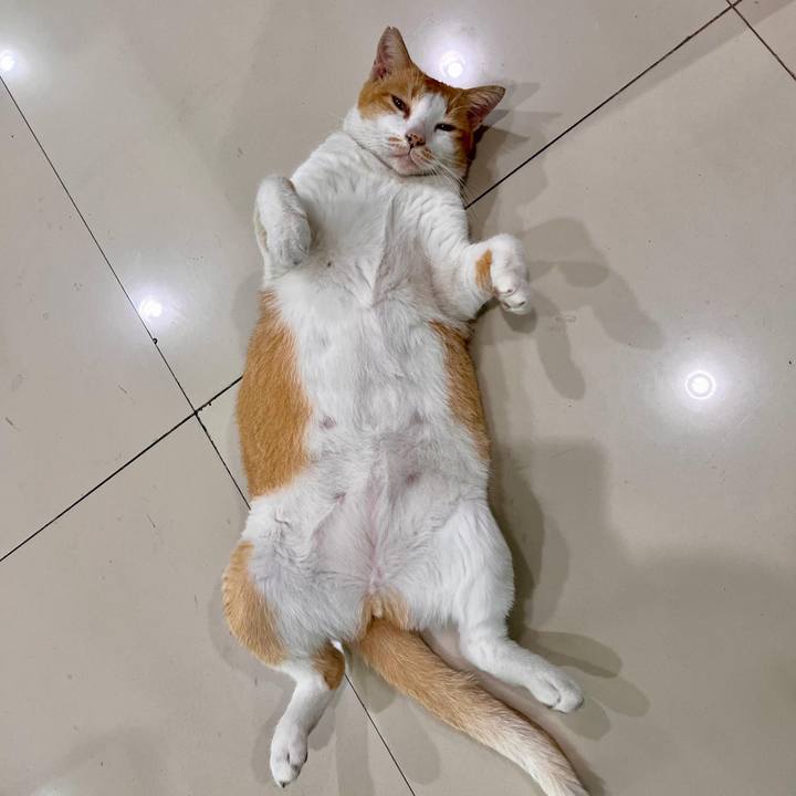 1a2bd6c9 9d20 48fc 9bac 63faf3473df7 1769982180479