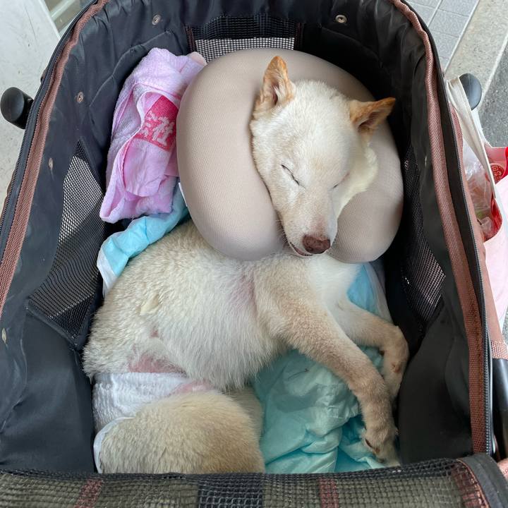 1a2bf8a5 9377 40c1 a1cd bdad978f0fc5 1667385359661