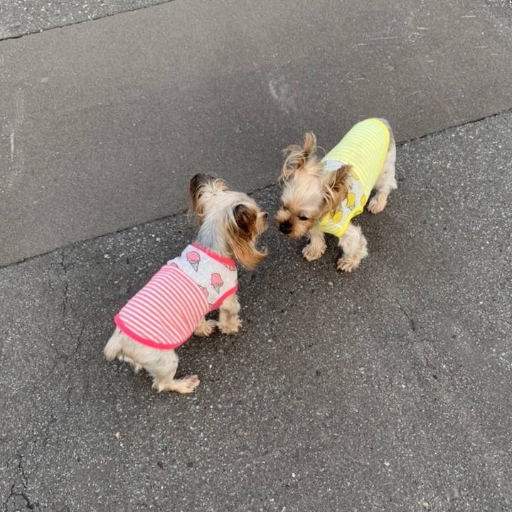 1a2bf99a 9d6f 4640 a61b 7b2b946ca9e3 1659603219426