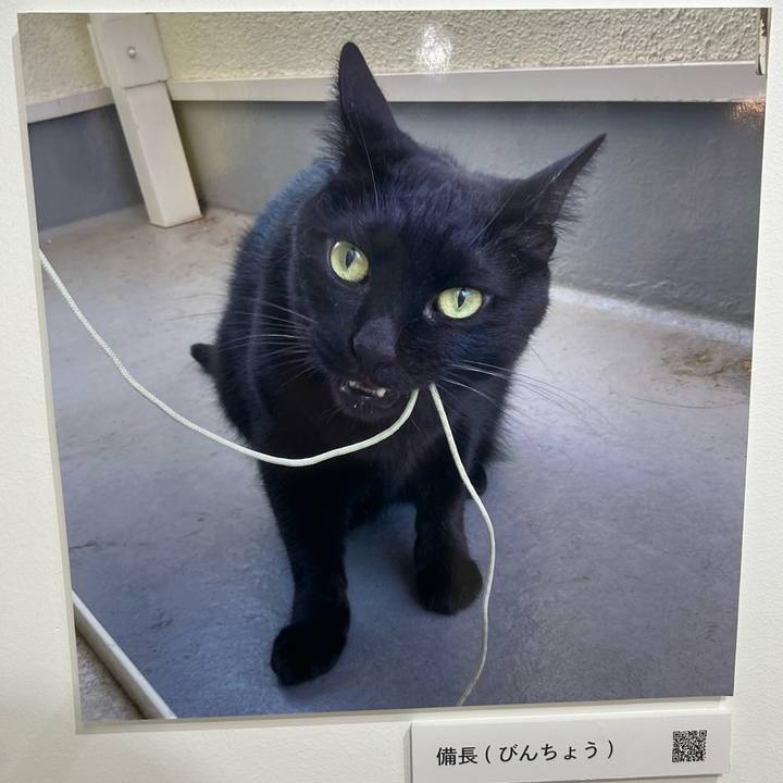 1a2c4c80 35d8 4368 946c cec12fa5fcb9 1762070759856