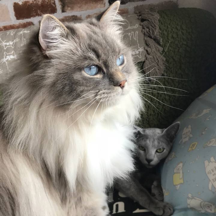 1a2c74b7 1853 45d6 bcfe 2a41e9401e56 1525213762718