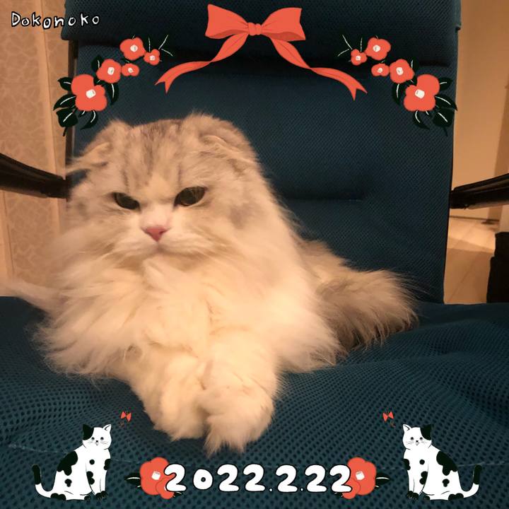 1a2ca0ea 42d7 428c a51b cdf103c1fa64 1645524910856