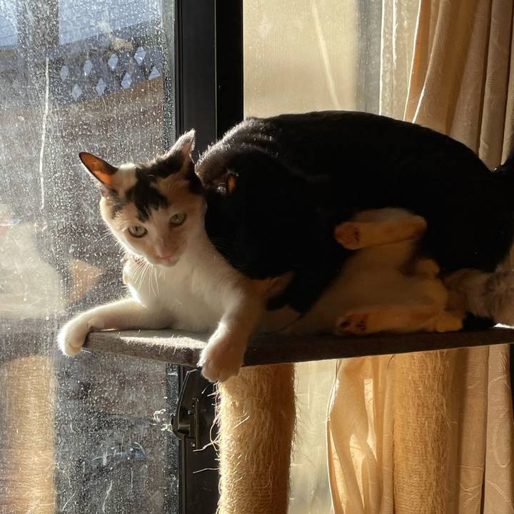 1a2caaa2 8dc3 49ac ba9c a5c8c83b0ab2 1736486092721