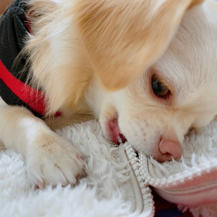 1a2cc8ff 8ae6 4279 88a8 e8b060b34c12 1612747438458