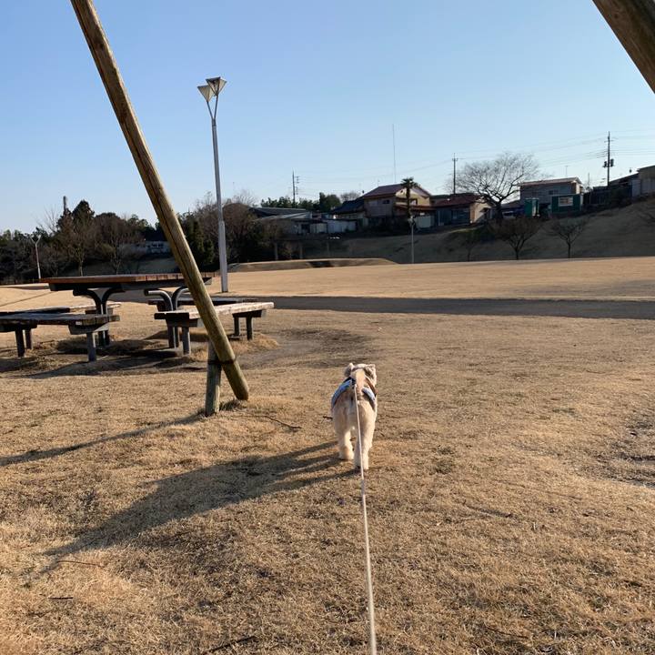 1a2cdc9c 9a68 4c80 9638 d6d31605b073 1582280261030