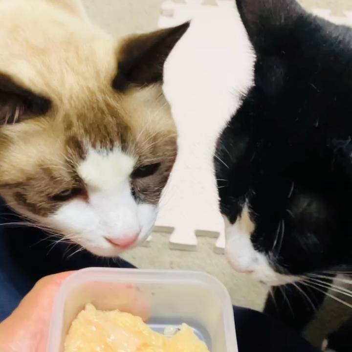 1a2ce5d6 be12 4572 a03e 152882f461ac 1728984171344