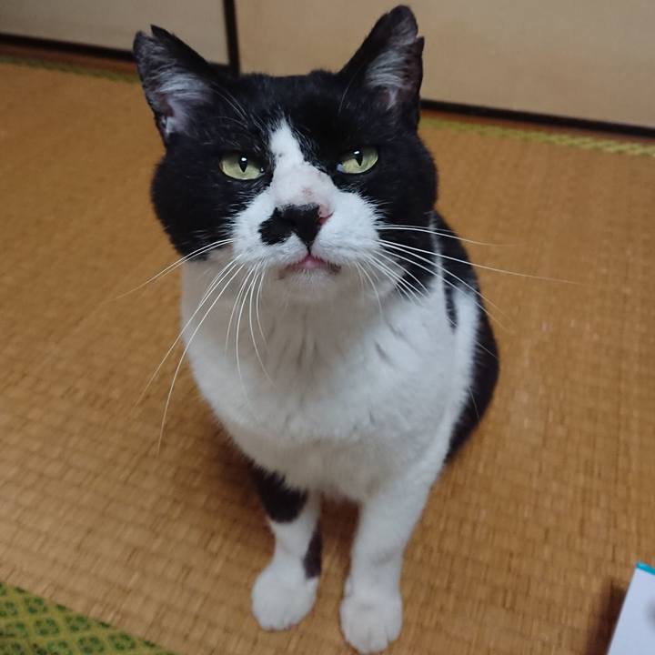 1a2d059c 3a92 43d1 bcad 14d6bbbde5bf 1529624711049