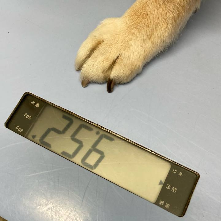 1a2d631a 3d37 48a4 b5c2 8bba714416ae 1707456324039