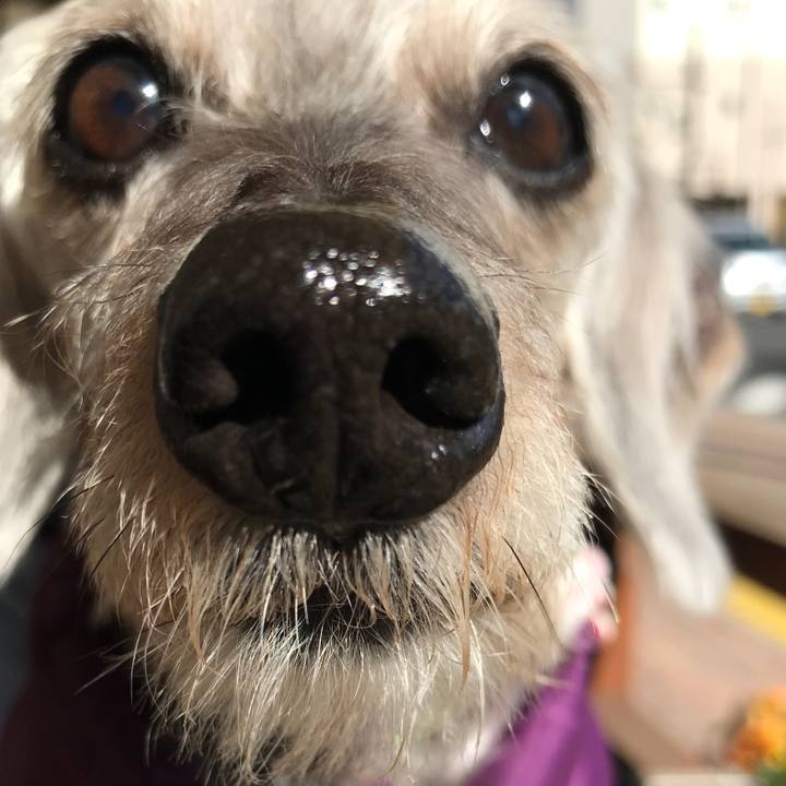 1a2d6ffe 4196 409e 890d 58f8019a61b0 1521851341294