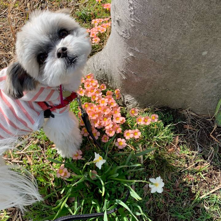 1a2d7d05 2397 4431 8a83 5d2bb30c4d1d 1615942537187