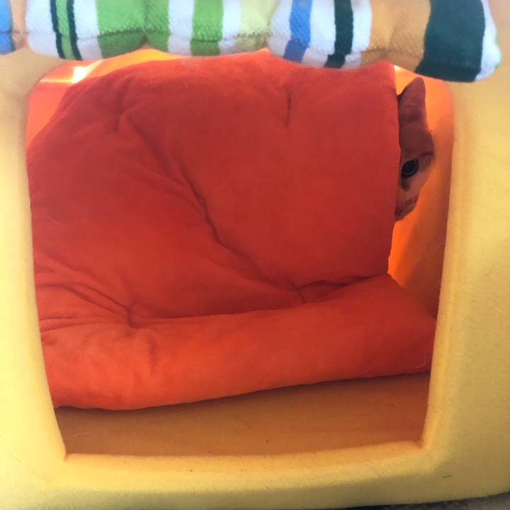 1a2d8790 f4e8 4f01 b9b6 9b3d6adf33aa 1582949277302