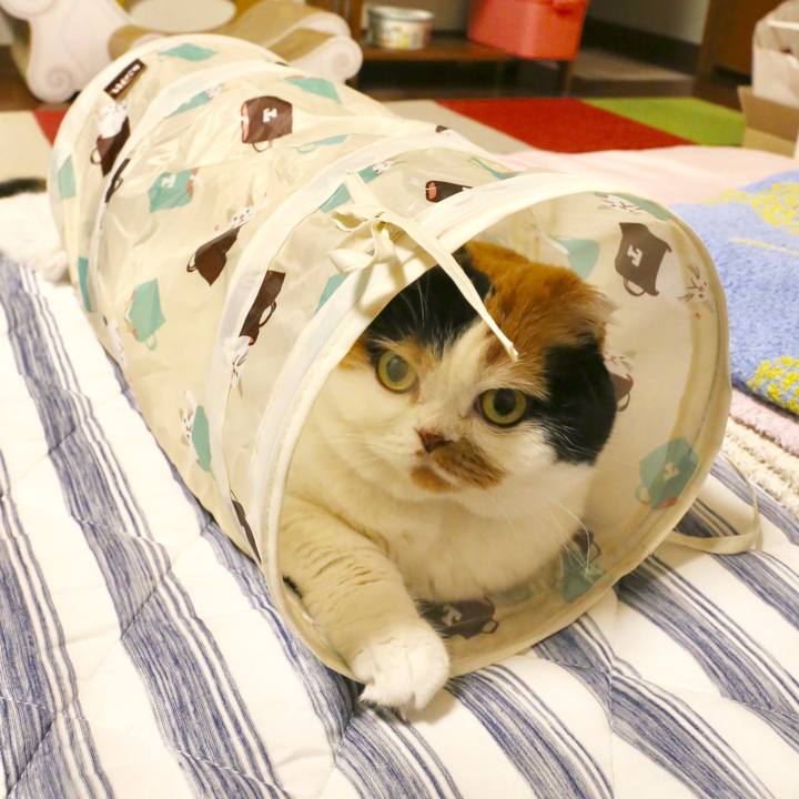 1a2ddf12 78af 4ffd 9a2d a33e4eb174ca 1563239986728