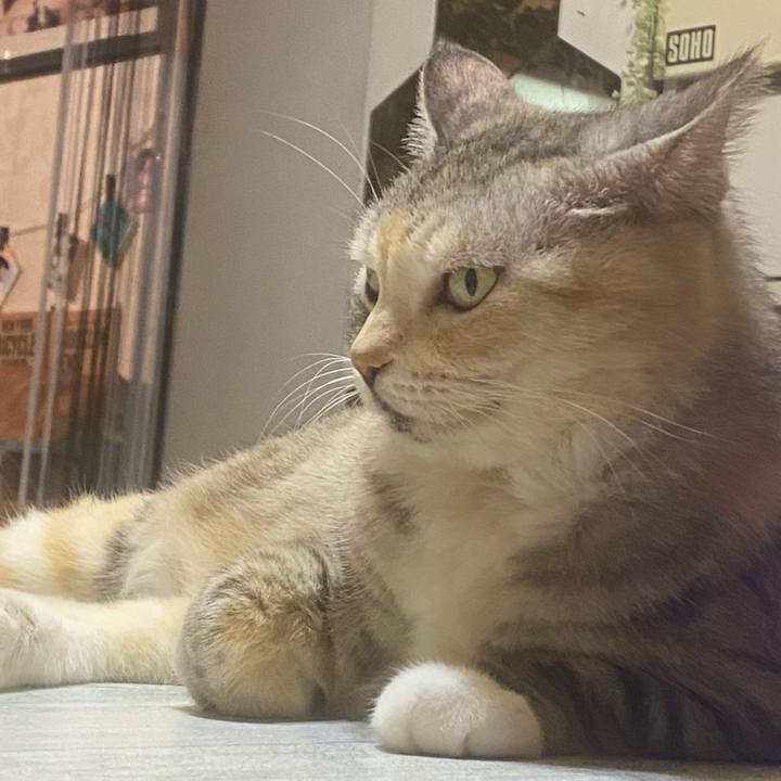 1a2de0f9 9a2c 40b5 85ac 695f3d1e531f 1632351189437