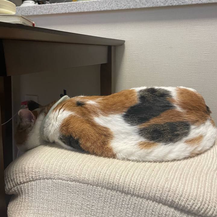 1a2df213 0188 4140 bcf2 9c5e1adb8a86 1674516629519