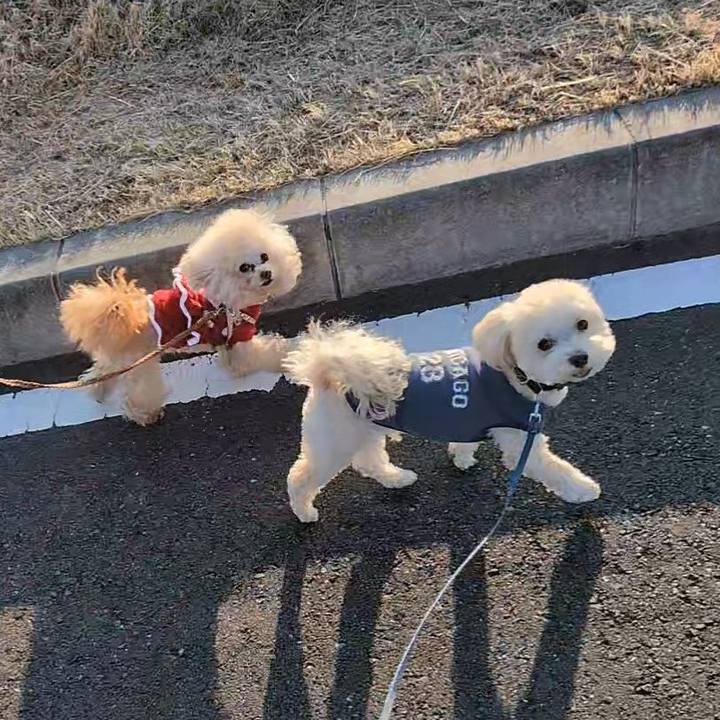 1a2df9ce c9a9 451d aa9e e1c22b58febd 1771501267300