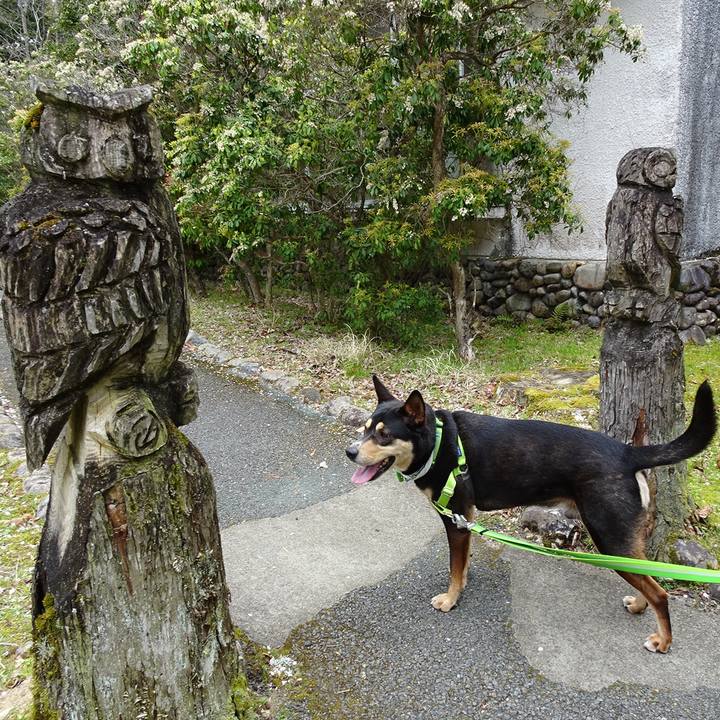 1a2dfe85 c17e 498f 9b59 d6d2b705a462 1617454409498