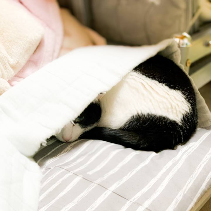 1a2e19ea e00f 4dfd 9190 855a3e3450d1 1586311898354