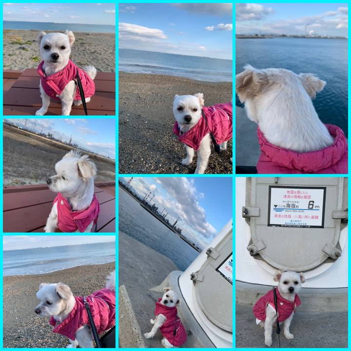 1a2ebe91 c6f6 4165 bc90 8867128c16c3 1577951830358