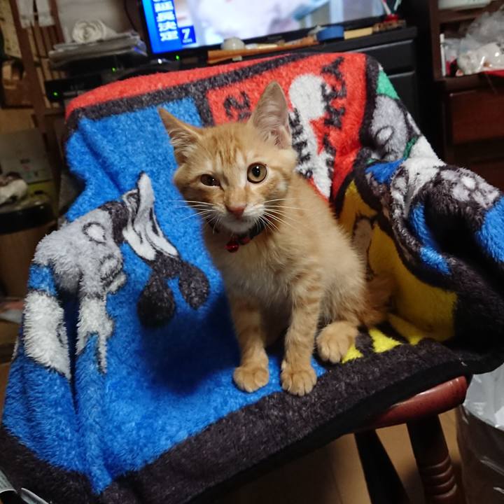 1a2ee1d0 4785 4a73 9799 7b86856476c5 1631185551264