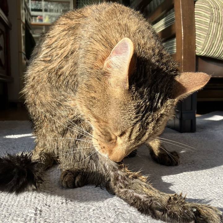 1a2eeeef 1bfc 4293 8b27 733cf3bd1a1c 1708089649011