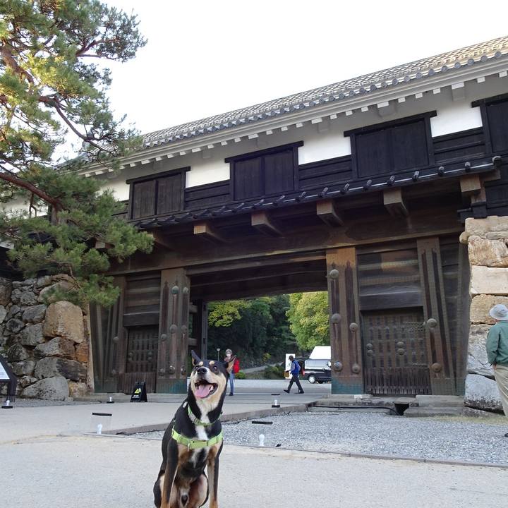 1a2f324b c2cc 46fa 8e21 c230340bad58 1637425402173