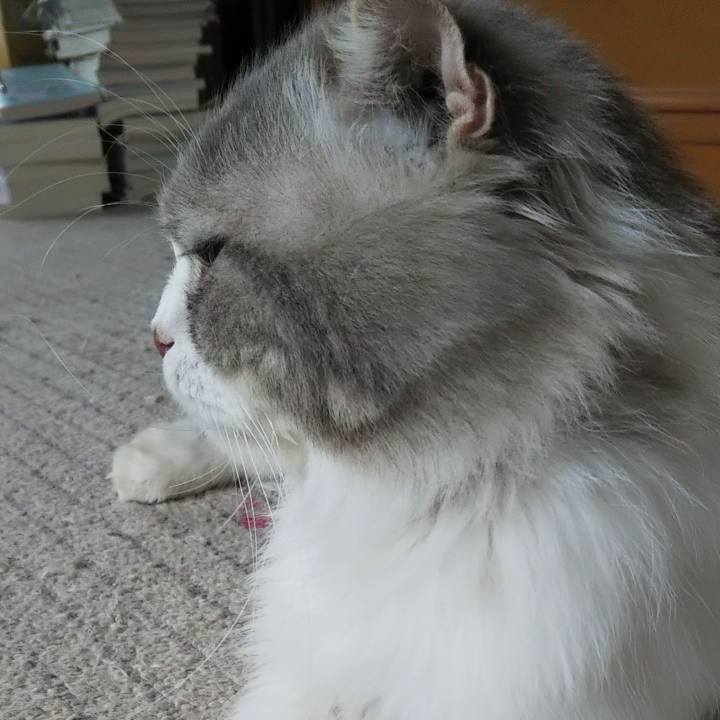 1a2f4ee5 e63d 4be1 8a91 e513f04b594e 1624756688457