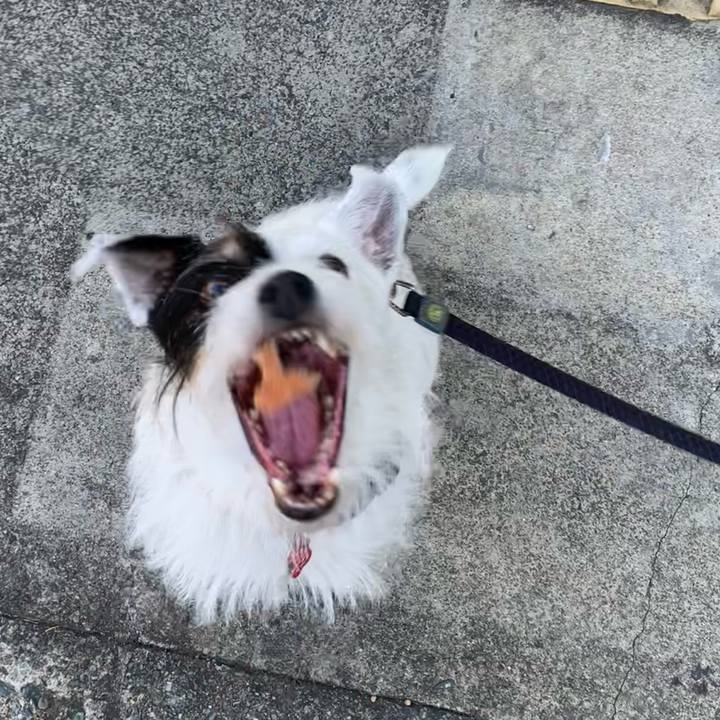 1a2f567e ee7d 4126 bd1a be126fac9d37 1690757266176