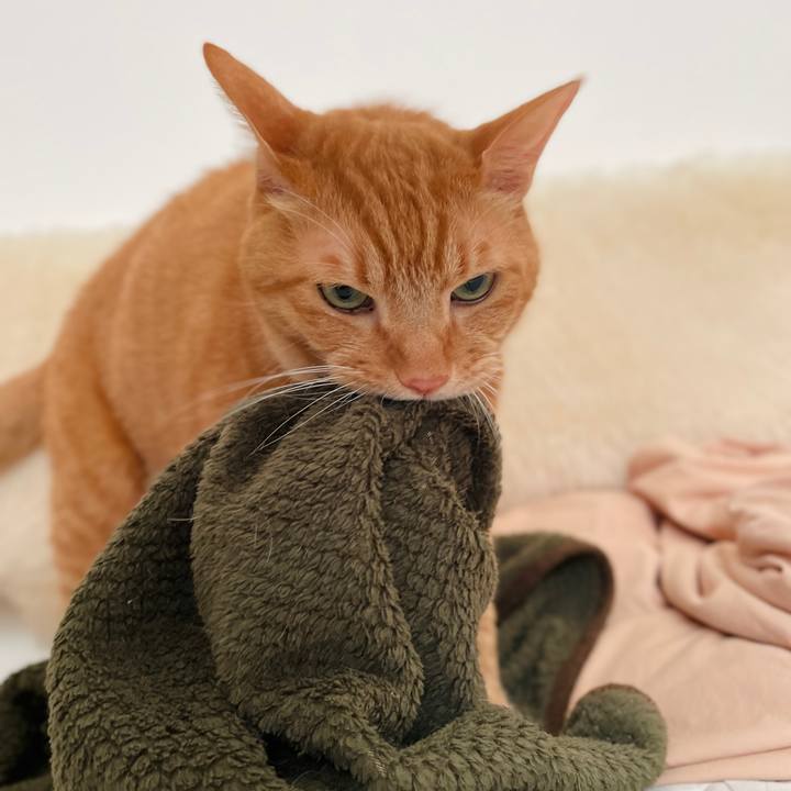 1a2f5e45 d451 4884 9239 337f86ea5d83 1728600630623