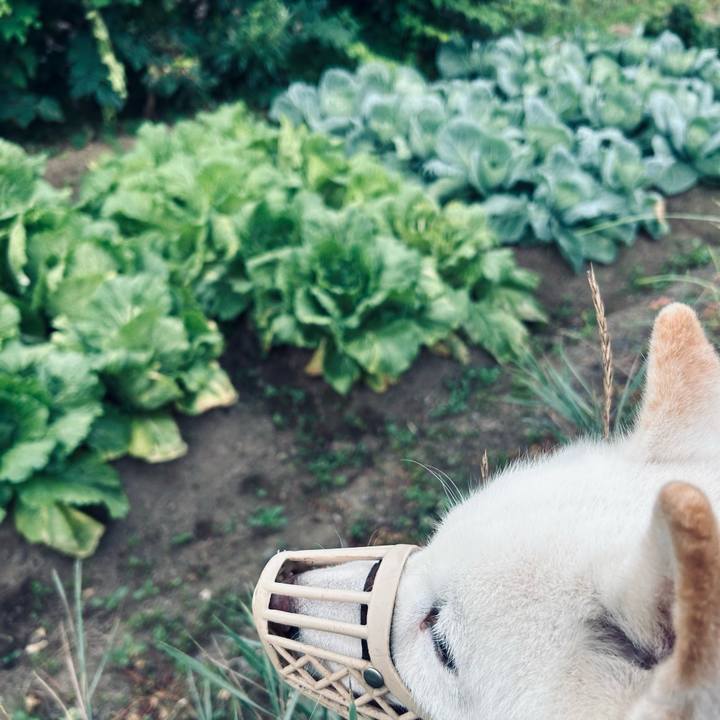 1a2f7ad5 ebf0 40ed 89db c21b2262eab7 1755379628549