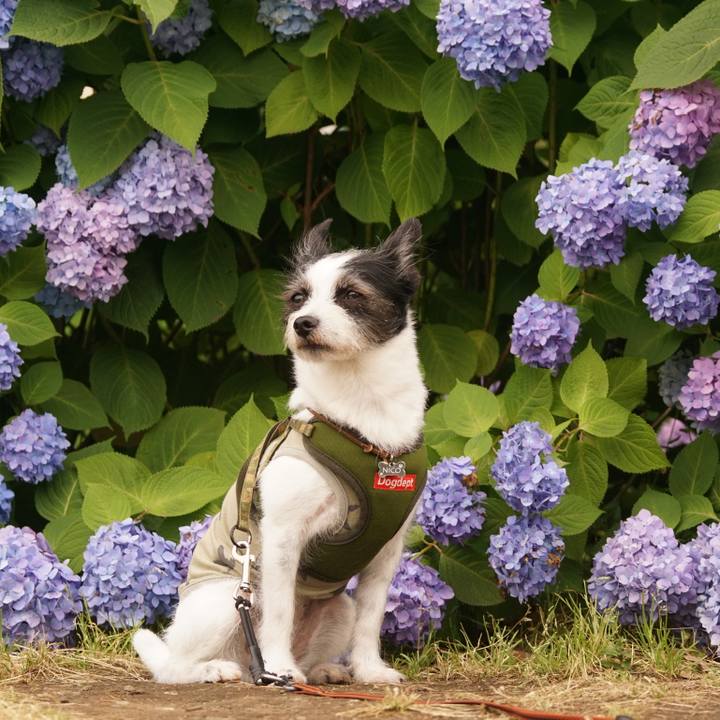 1a2fa208 feb5 454a b845 b6fa27a77932 1654924472890