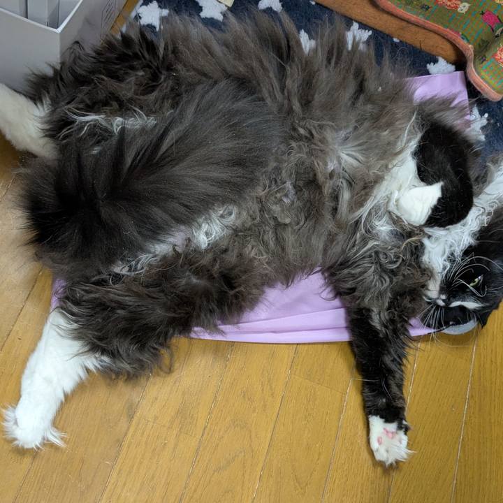 1a306cd5 c6a9 47a3 abbf e37670e66df8 1769946801299